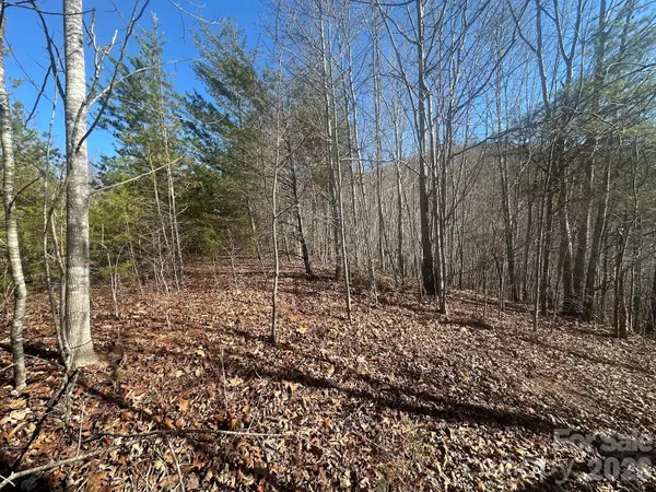 127 Robinwood Trail, Bostic, NC 28018