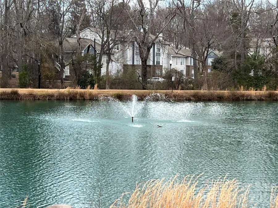 7331 Winery Lane, Charlotte, NC 28227 - #3