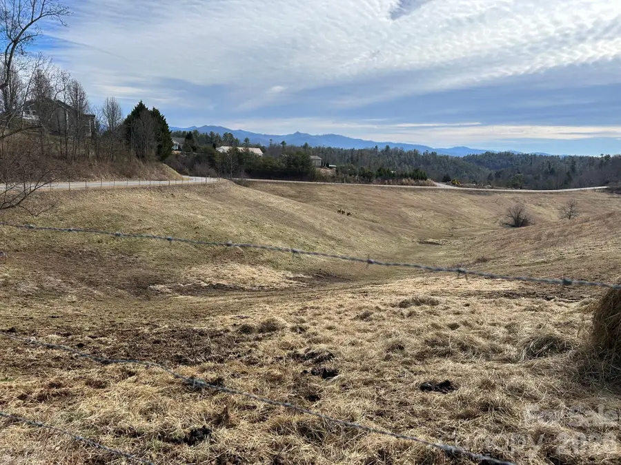 2776 Bend Of Ivy Road, Marshall, NC 28753 - #3