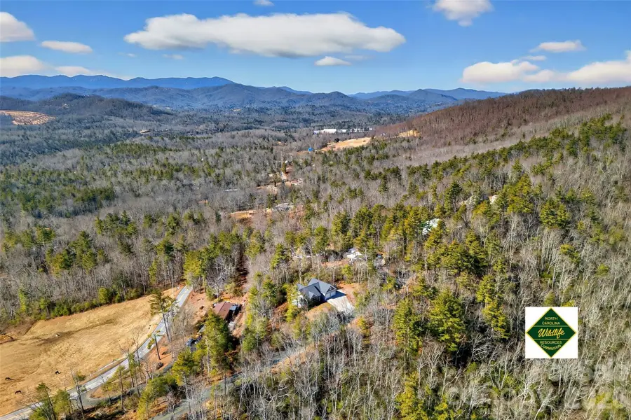 111 Wipprecht Drive, Spruce Pine, NC 28777 - #2