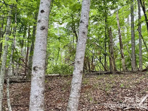 Lot 30 Granny Smith Lane, Lake Lure, NC 28746