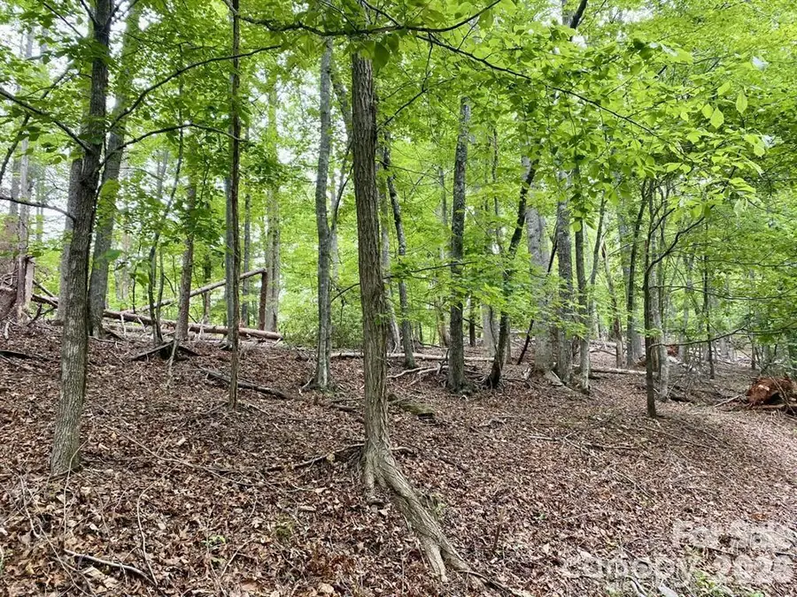 Lot 30 Granny Smith Lane, Lake Lure, NC 28746 - #2