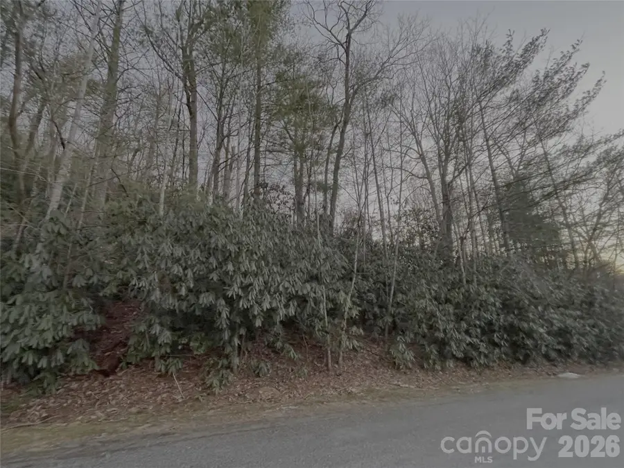 742 Zelda Court #71, Hendersonville, NC 28792 - #3