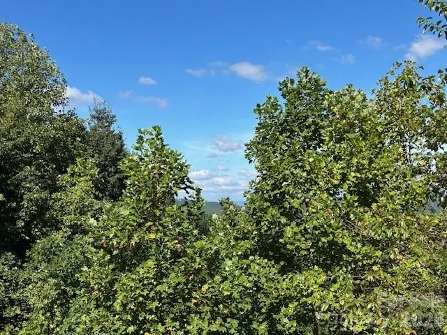 0 Tahawus Drive, Golden Valley, NC 29018 - #3