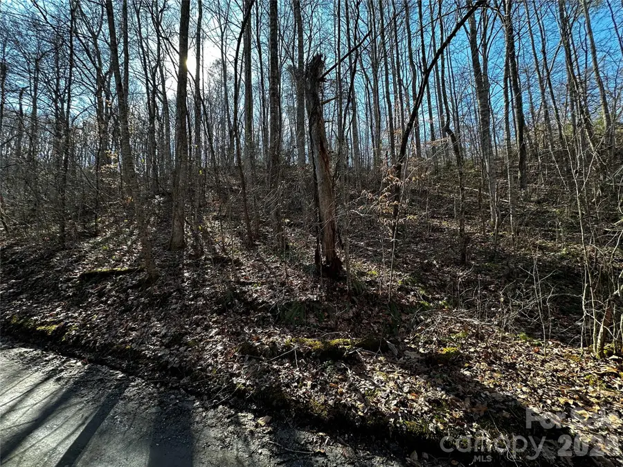 Lot 11 Blue Mist Mountain Road, Whittier, NC 28789 - #3