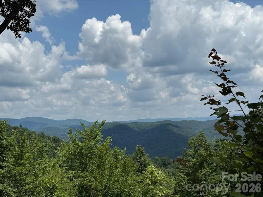 337 Lucas Path Drive #69, Purlear, NC 28665 - #2