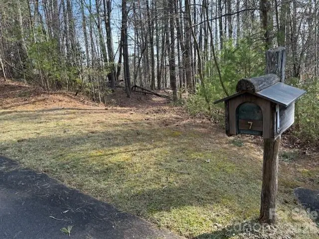 7 Settlement Ridge Drive, Marion, NC 28752 - #1