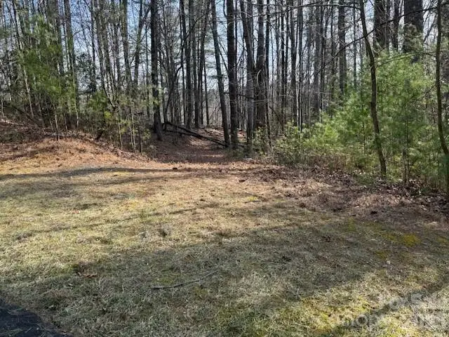 7 Settlement Ridge Drive, Marion, NC 28752 - #3