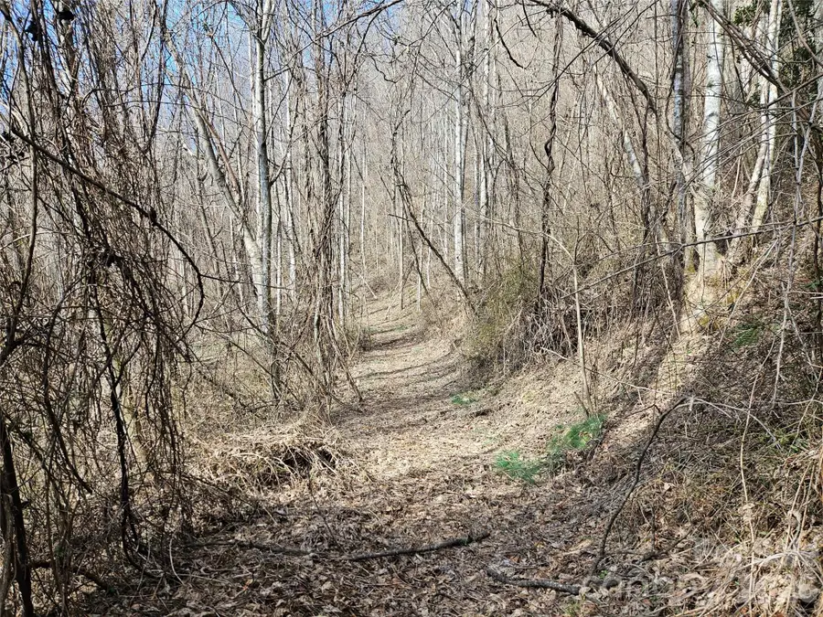 0 Woodfin Road, Sylva, NC 28779 - #3