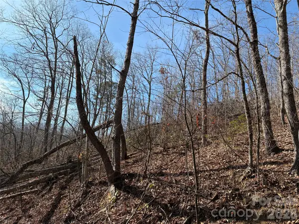 100 Pine Tree Drive, Candler, NC 28715