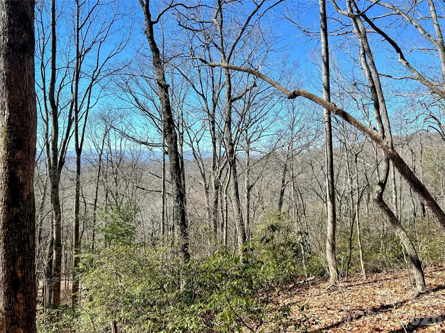 99999 Carpenters Son Lane, Hendersonville, NC 28792 - #2