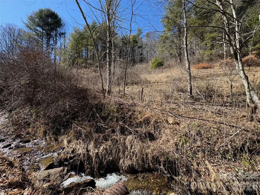 9999 Bee Log Road, Burnsville, NC 28714 - #3