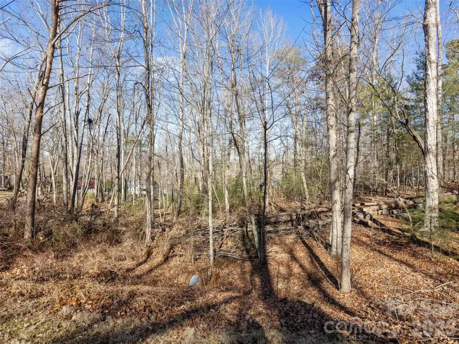 Lot 7 Mountain Heritage Place, Candler, NC 28715 - #2
