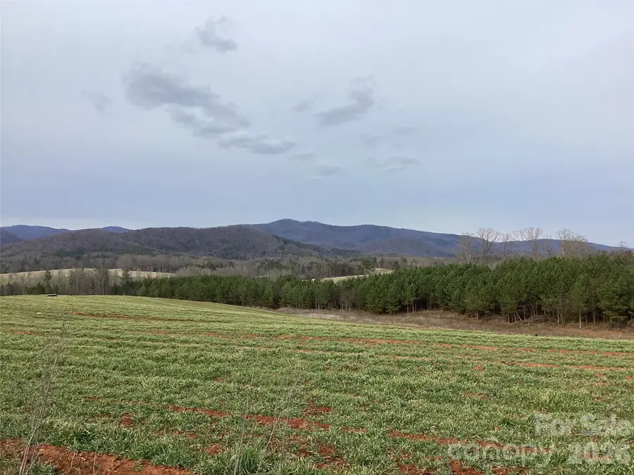 00 Moriah School Road, Casar, NC 28020 - #3