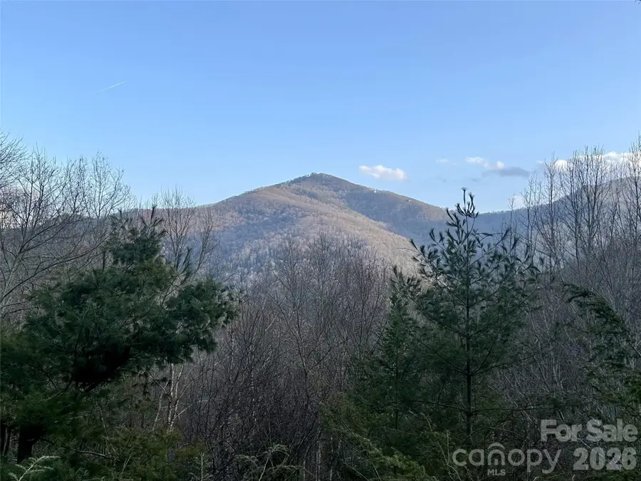 250 Creekside Drive, Maggie Valley, NC 28751 - #2