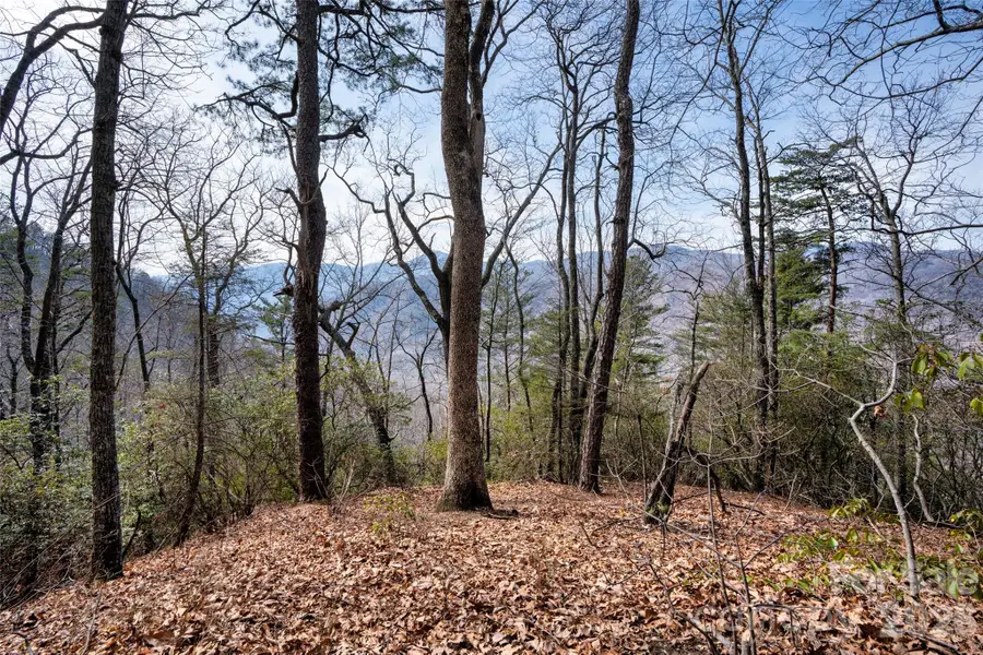 0 Rachel Ridge, Lake Lure, NC 28746 - #2