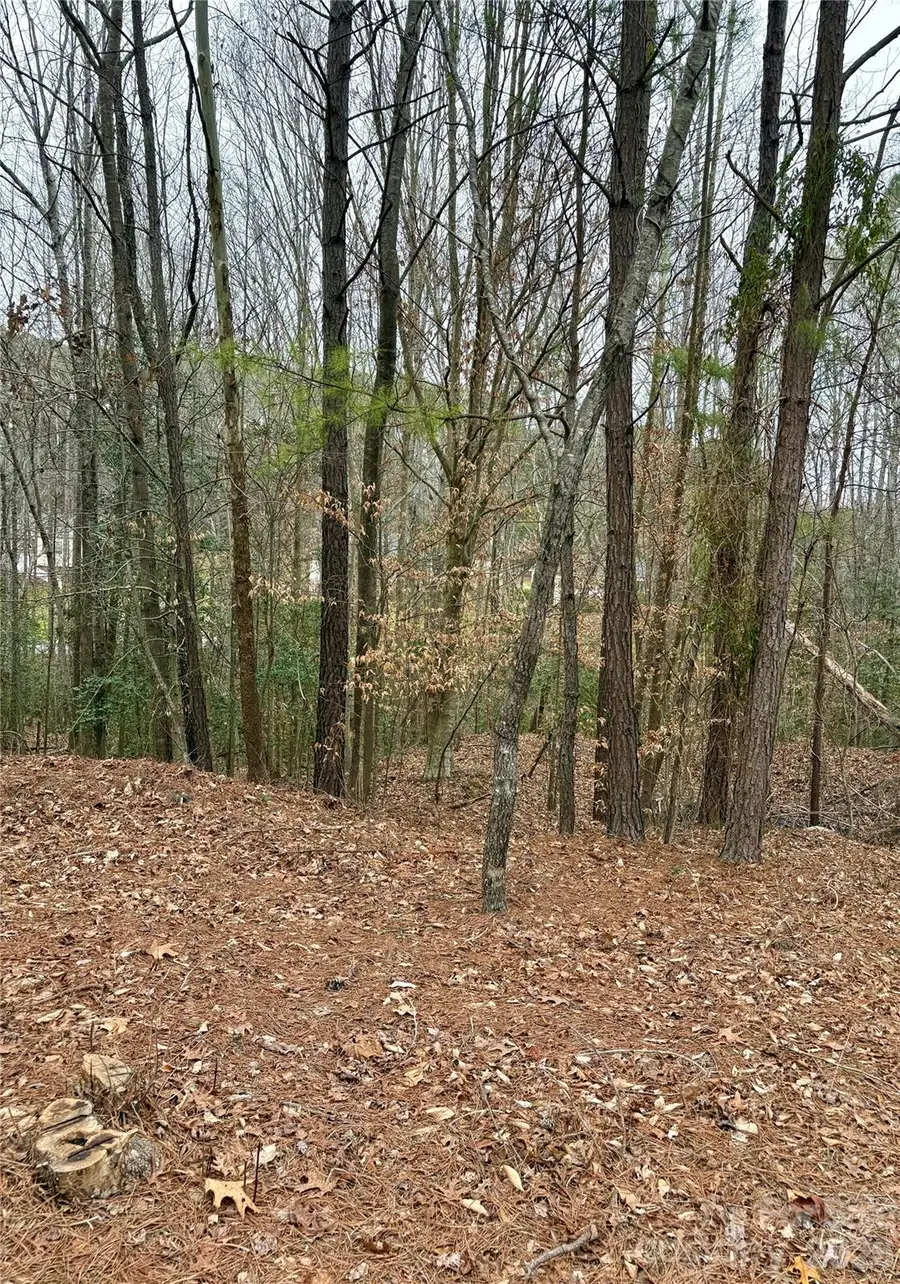 4027/4031 Harbour Court #25/26, Granite Falls, NC 28630 - #3