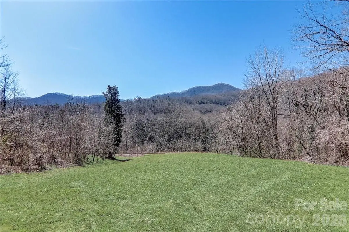 99999 Smokey Park Highway, Candler, NC 28715 - #1