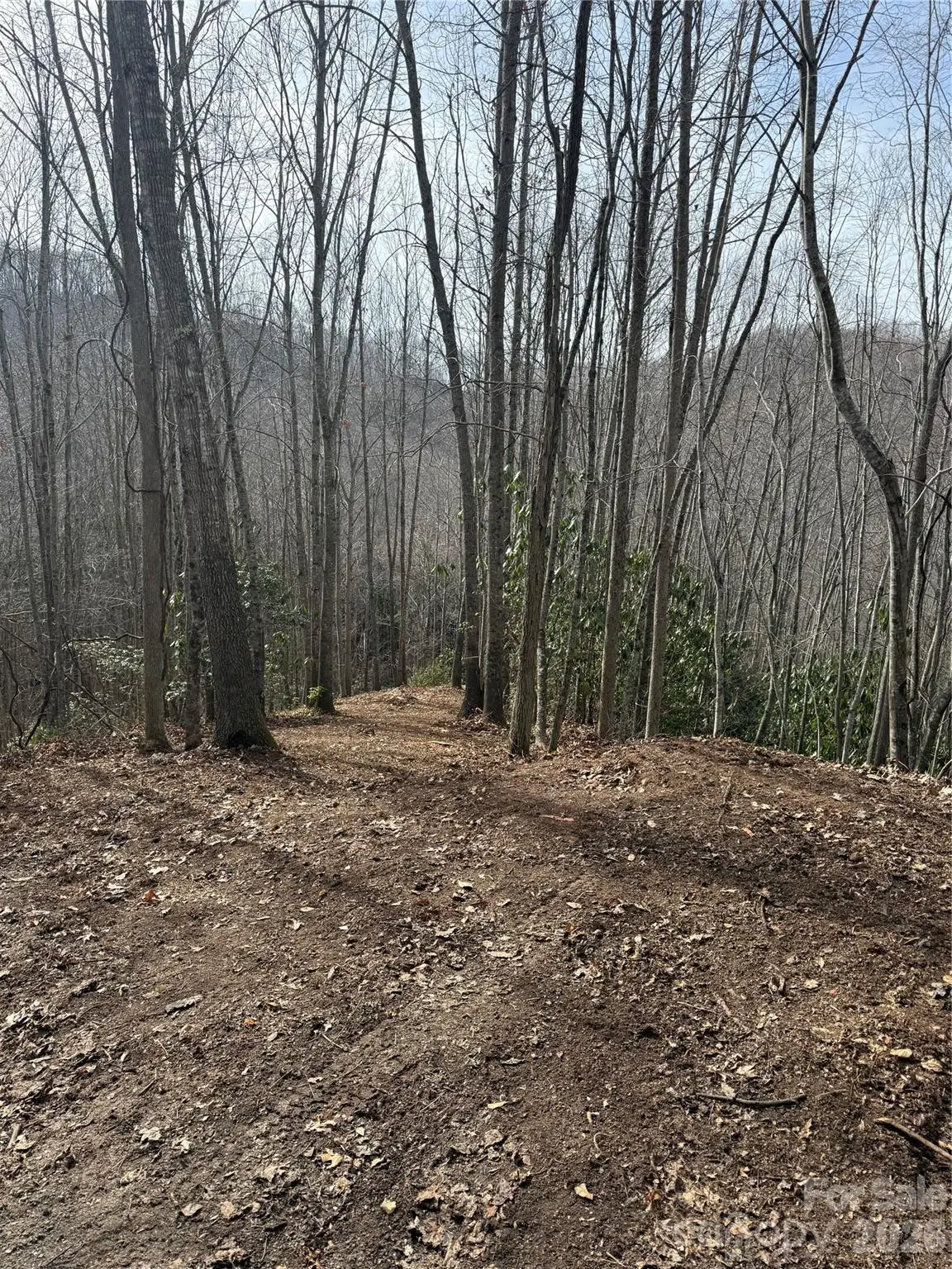 236 Down The Hill Road, Sylva, NC 28779 - #1