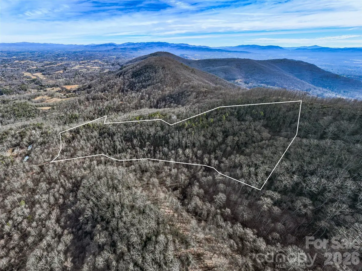99999 High Top Mountain Road, Leicester, NC 28748 - #1