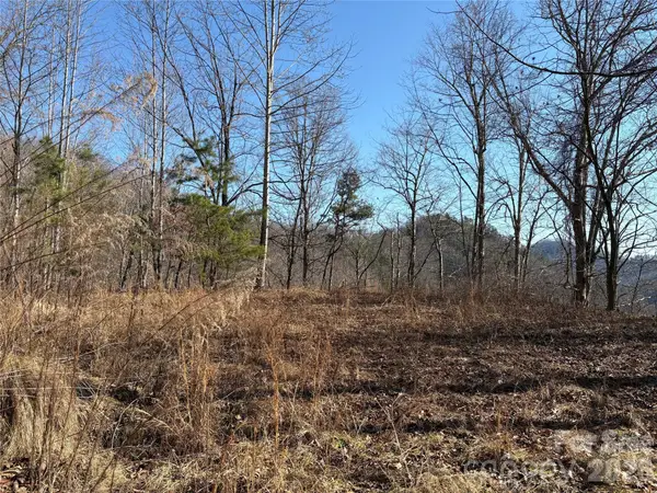 00 Brush Creek Road #41, Bryson City, NC 28713