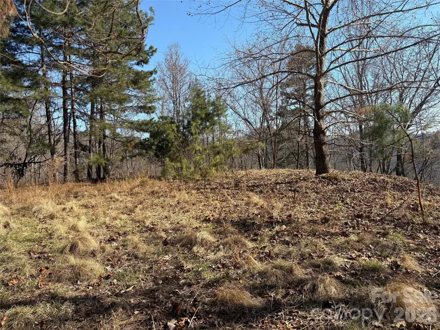 00 Brush Creek Road #41, Bryson City, NC 28713 - #3