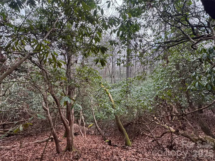 000 Falls Creek Court, Pisgah Forest, NC 28768 - #3