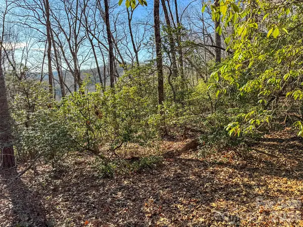 1647 Mills River Way, Horse Shoe, NC 28742