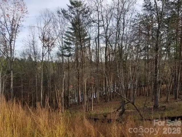 TBD Compass Court #92, Granite Falls, NC 28630 - #3