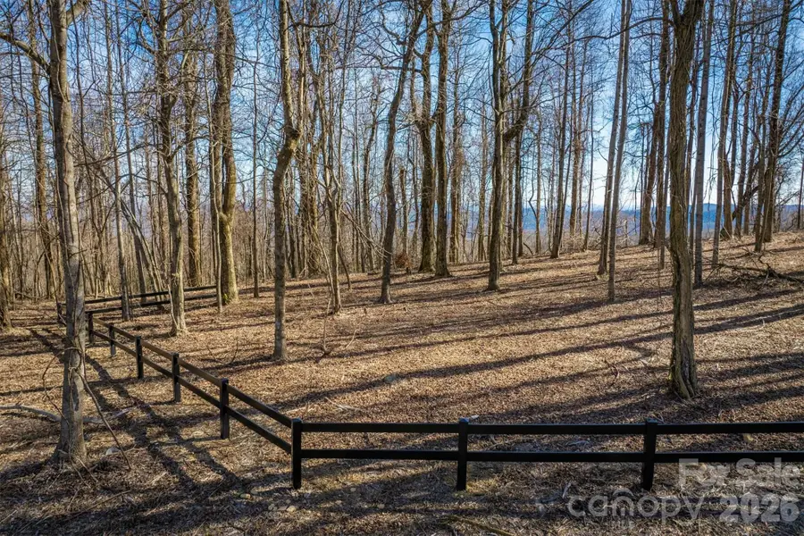 7596 Walkertop Mtn Overlook Drive, Morganton, NC 28655 - #3