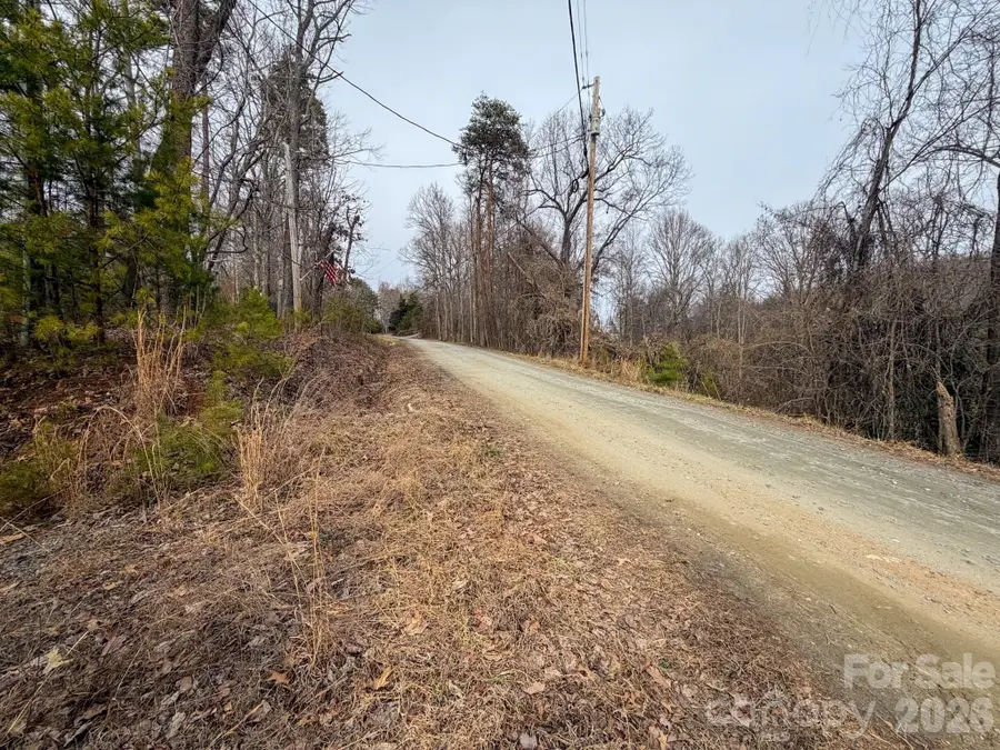 161 Starling Road, Lake Lure, NC 28746 - #3