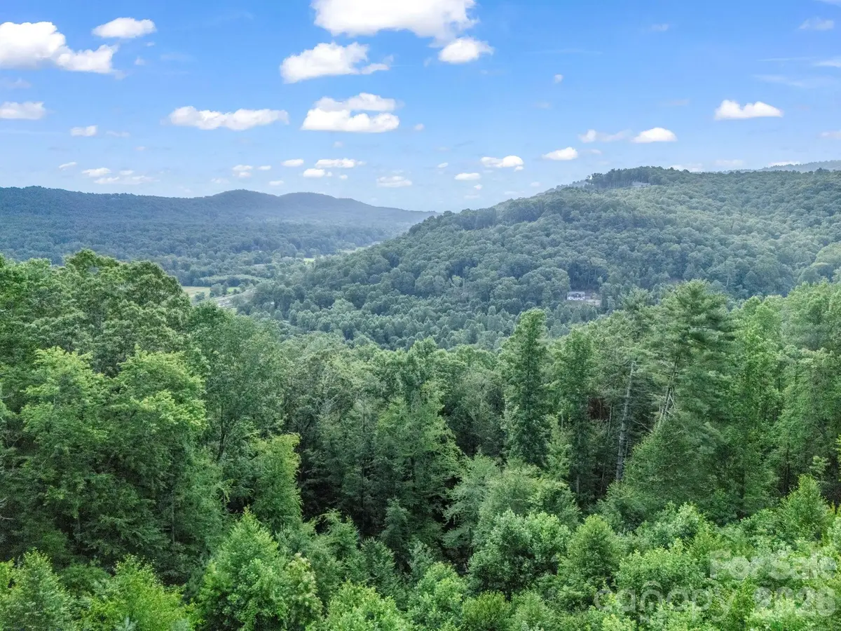 TBD Davenport Hills Road, Hendersonville, NC 28739 - #1