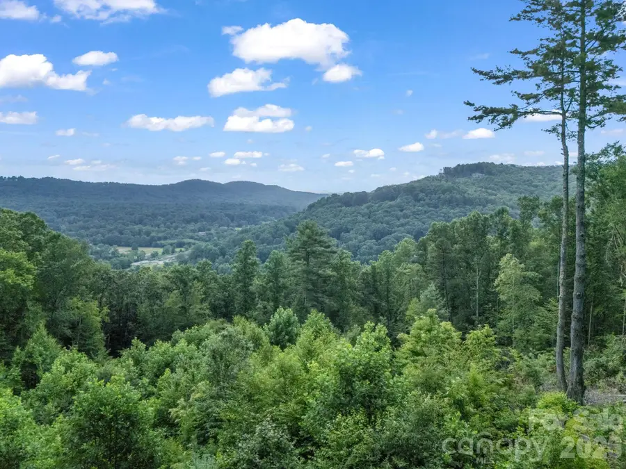 TBD Davenport Hills Road, Hendersonville, NC 28739 - #2