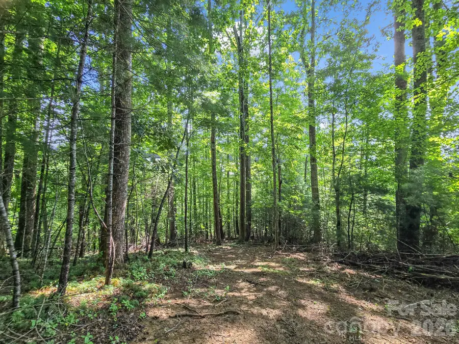 TBD Davenport Hills Road, Hendersonville, NC 28739 - #3