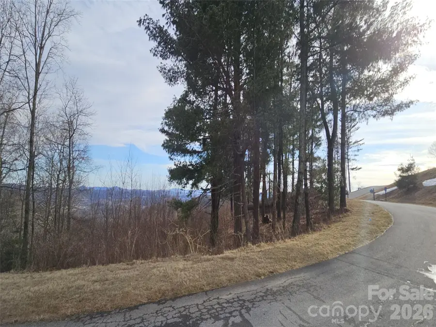 #178 Dancing Bear Drive, Hendersonville, NC 28792 - #2