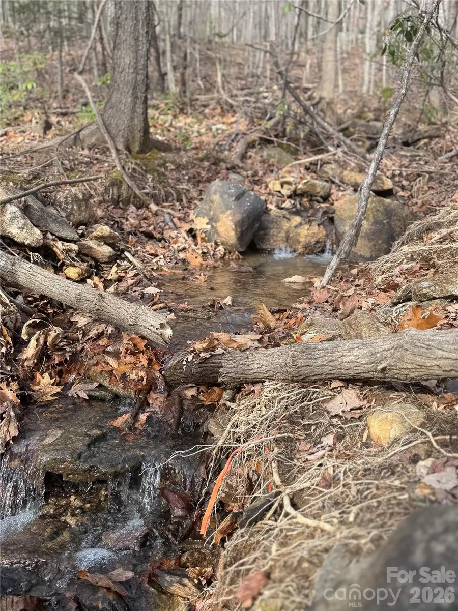 99999 Chesterfield Drive #176, Mill Spring, NC 28756 - #3