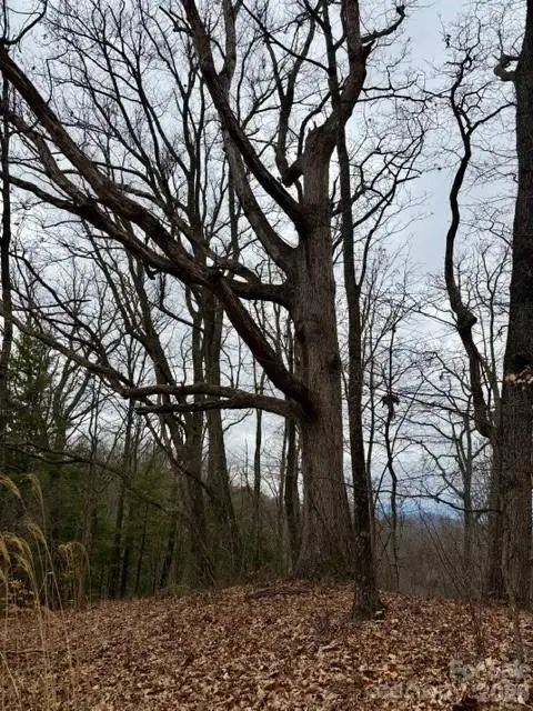 201 Glen Valley Drive, Weaverville, NC 28787 - #1