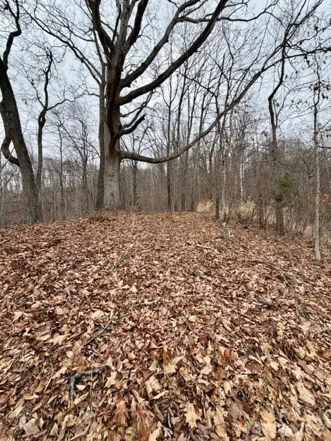 201 Glen Valley Drive, Weaverville, NC 28787 - #2