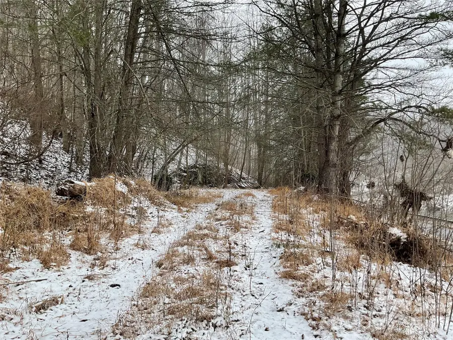 0000 Nc Hwy 197 Highway, Green Mountain, NC 28740 - #3