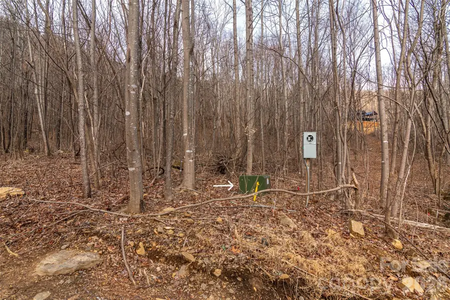 630 Spring Cove Lane, Mill Spring, NC 28756 - #2