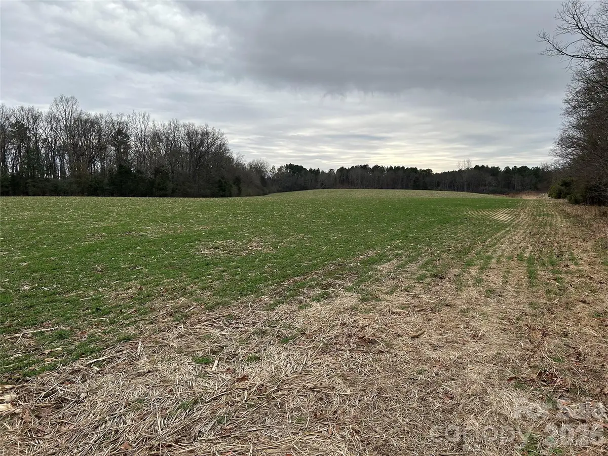 1440 Carl Taylor Road, Peachland, NC 28133 - #1