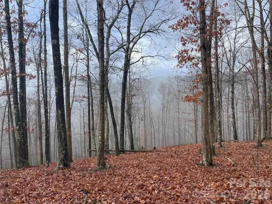 75 Wild Turkey Loop #31, Marshall, NC 28753 - #2