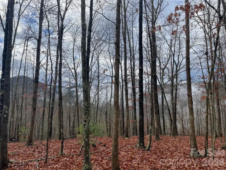 75 Wild Turkey Loop #31, Marshall, NC 28753 - #3