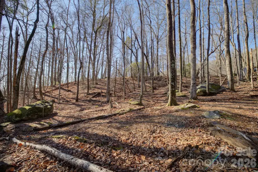 004 High Road Court #4, Lake Lure, NC 28746 - #2