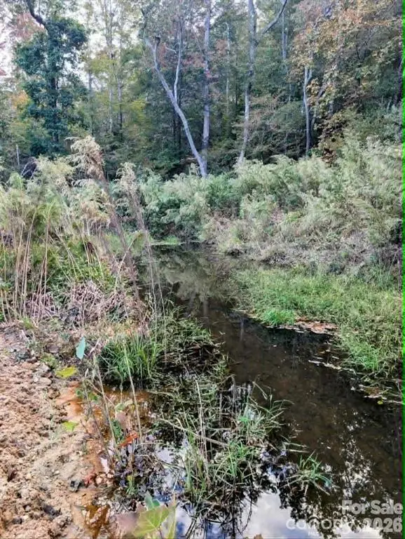 12 Acres County Line Road, Rutherfordton, NC 28139 - #2