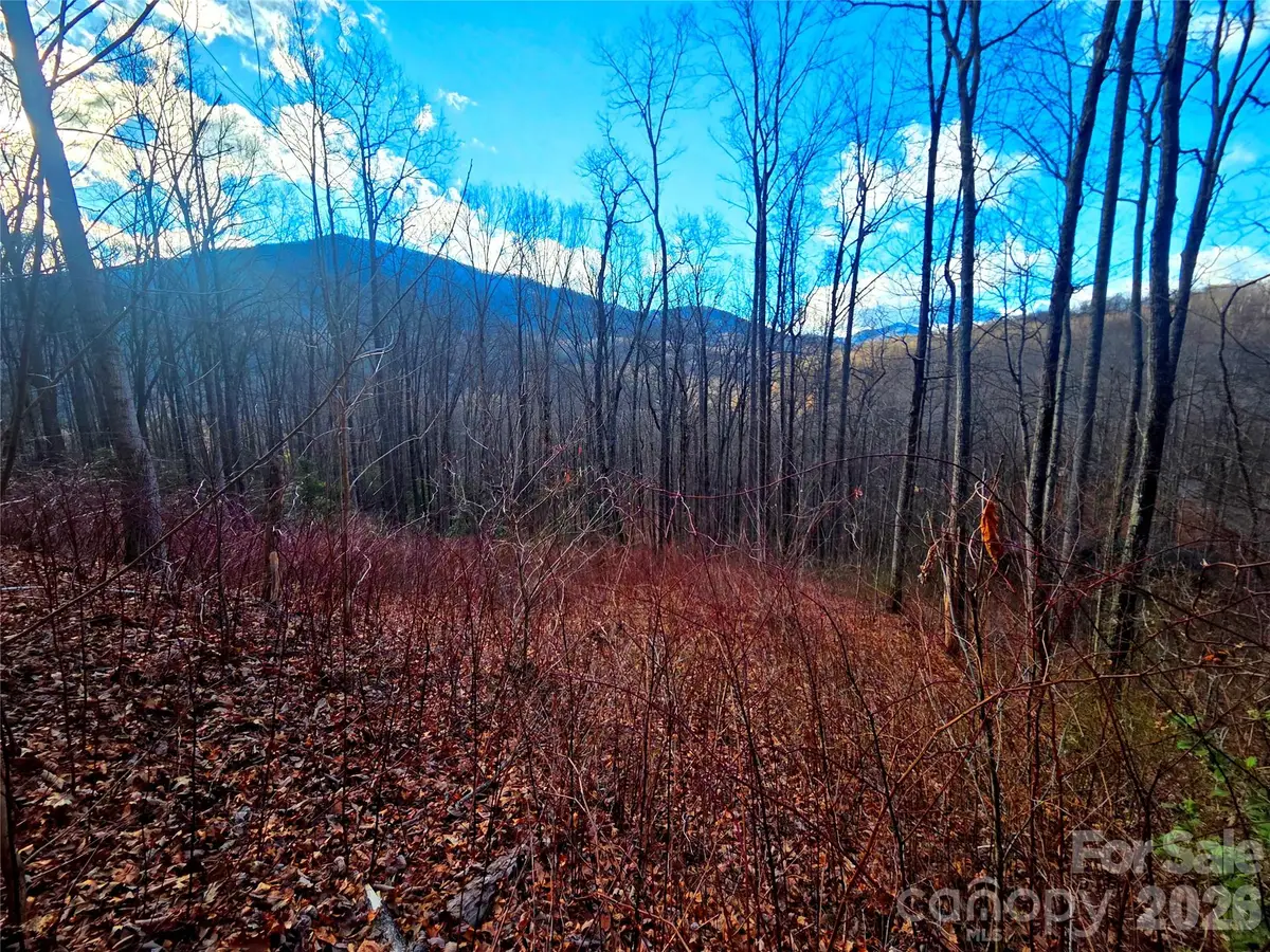 900 Fern Trail #31, Waynesville, NC 28786 - #1