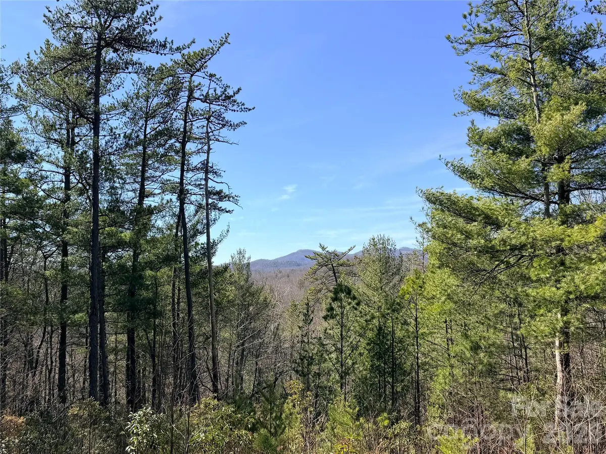 TBD Hidden Creek Road #18, Elk, NC 28624 - #1