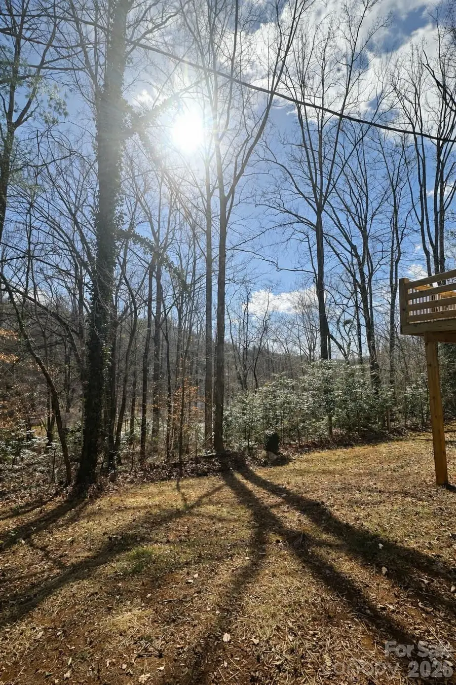 295 Moore Drive, Marion, NC 28752 - #3