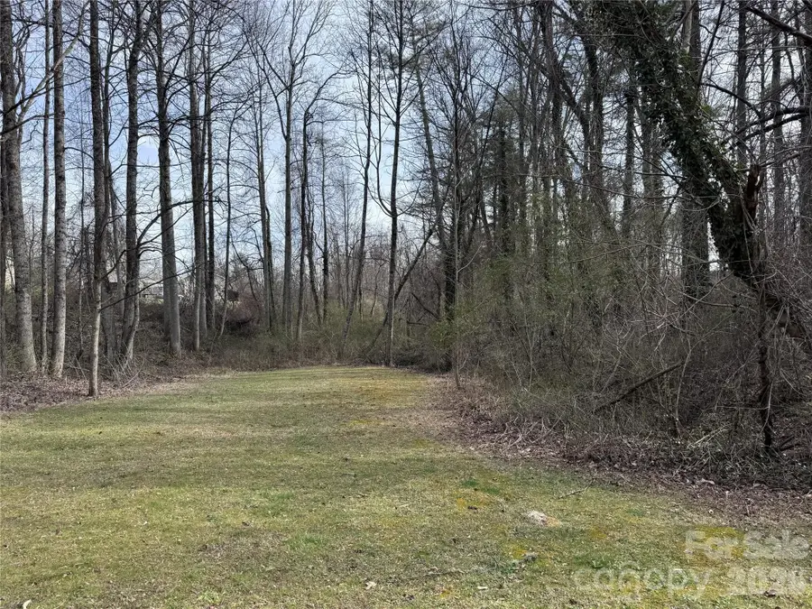 000 Jackson Loop Road #3, Flat Rock, NC 28731 - #2