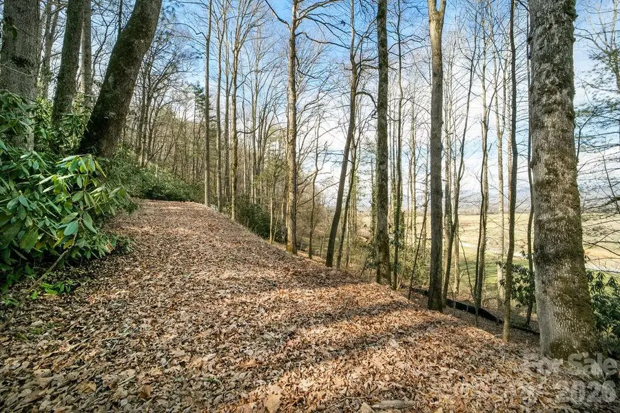 Lot 4-R Middlemount Road, Pisgah Forest, NC 28768 - #3
